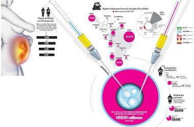 Vitro Fertilization, IVF (Photo: El Comercio)