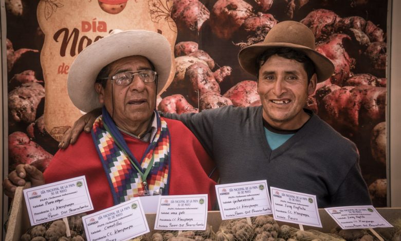 Guardians of Potato (Photo Walter Coraza Morveli)